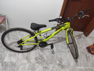 All - Mountain Orient 2024 snake