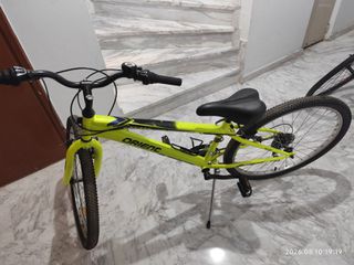 All - Mountain Orient 2024 snake-thumb-1