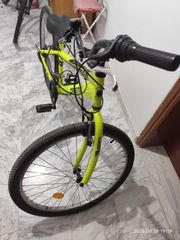 All - Mountain Orient 2024 snake-thumb-2
