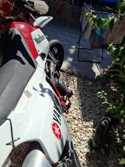 Yamaha TT 600 E 2004 velocity-thumb-3