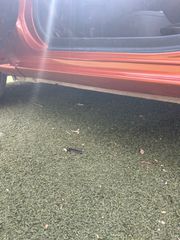 Mazda 2 2004-thumb-19
