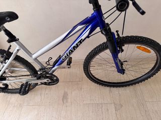 All - Mountain Giant 2018 ROCK-thumb-5