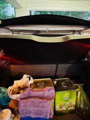 Ford Focus 2001-thumb-3