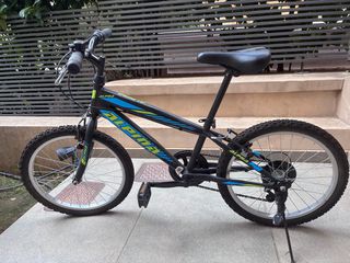 All - Mountain Alpina 2022 Alpha MTB 20”