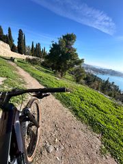 Downhill - Enduro - Trail Cube 2025