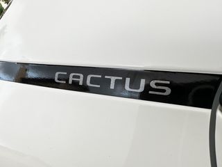 Citroen C4 Cactus 2020 Ελληνικό, 1ο Χέρι, Βιβλίο service, 2 Ετη Εγγύηση-thumb-29