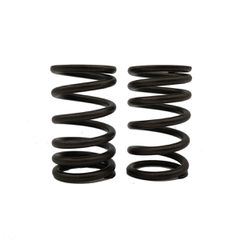 ΕΛΑΤΗΡΙΑ ΒΑΡΒΙΔΩΝ RACING (2.9MM X 38MM) HONDA ASTREA GRAND 100 (1991-1998) / HONDA ASTREA SUPRA 100 (1999-2001) (TOBAKI)