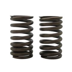 ΕΛΑΤΗΡΙΑ ΒΑΛΒΙΔΩΝ RACING (3.2MM X 32MM) YAMAHA CRYPTON 105 (1997-2000) / CRYPTON R105 (2000-2004) / CRYPTON R115 (2005-2007) (TOBAKI)