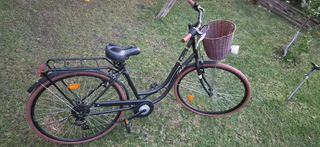 City Bicycle Matrix 2023 Matrix Florida