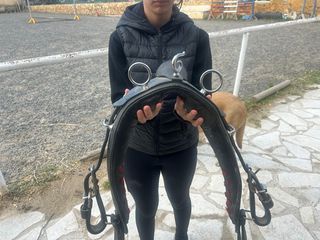 χειροποίητη άμαξα-thumb-2