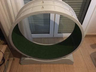 Cat Treadmill Running Wheel Διάδρομος Τρεξίματος Γάτας