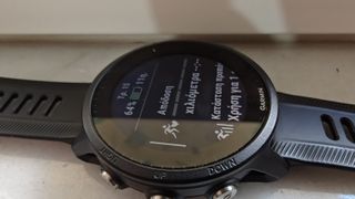 GARMIN FORERUNNER 955-thumb-15