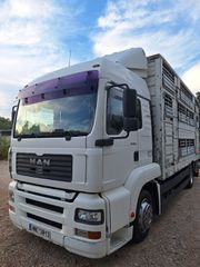 Ζωάδικο MAN 2001 TGA 310 ζωαδικο