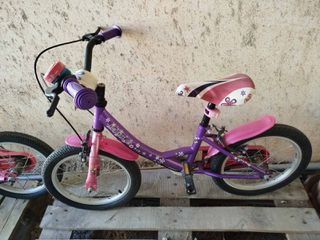 City Bikes Style 2024