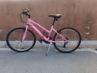 All - Mountain Matrix 2020 Matrix 24'' Garden