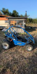 Buggy 2008-thumb-1