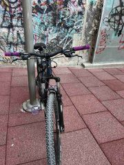All - Mountain Capriolo 2020 LC 9X-thumb-1