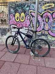 All - Mountain Capriolo 2020 LC 9X-thumb-2