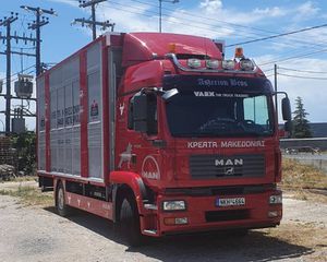 Ζωάδικο MAN 2008 MAN TGM 15.280 - Finkl – 2ο  όροφο ΜΟΝΟ ΣΟΒΑΡΕΣ ΠΡΟΤΑΣΕΙΣ