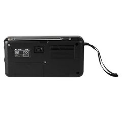 DM-77-533 . Φορητό αναλογικό ραδιόφωνο AM/FM (LR20 x2) BLOW-thumb-1