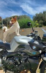 Bmw K 1200 R 2007-thumb-2