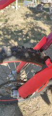 Beta RR 300 2013 RACING-thumb-2