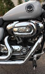 Harley Davidson Sportster 1200 2013 custom-thumb-1