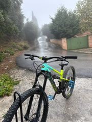 Downhill - Enduro - Trail Polygon 2019 Enduro