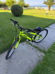 All - Mountain Orient 2025 Snake
