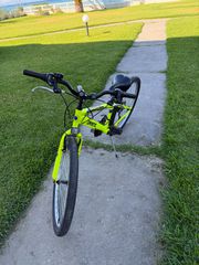 All - Mountain Orient 2025 Snake-thumb-1