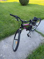 All - Mountain Orient 2025 Snake