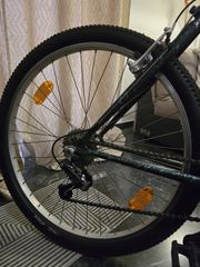 All - Mountain 2000 Sportivo-thumb-8