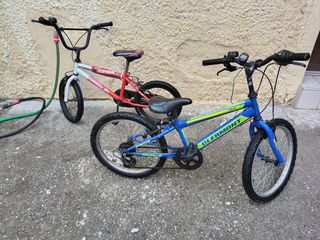 BMX 2024-thumb-11