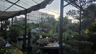 Τροχοβίλα - Προκάτ 2018-thumb-2