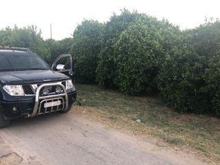 Nissan Navara 2008