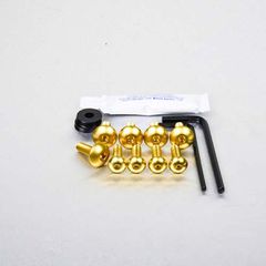 PRO-BOLT ΚΙΤ ΒΙΔΕΣ ΑΛΟΥΜΙΝΙΟΥ ΠΛΑΤΥΚΕΦΑΛΕΣ ΛΑΣΠΩΤΗΡΑ