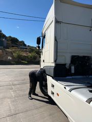DAF 2020 XF 480 FT EURO 6D ΥΔΡΑΥΛΙΚΑ   ΠΑΙΡΝΕΙ ΔΩΡΕΑΝ ΑΔΕΙΑ ΔΧ-thumb-4