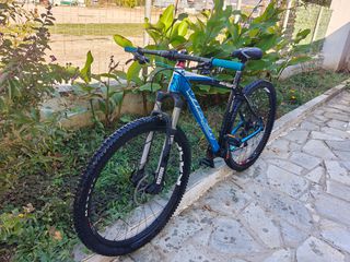 Downhill - Enduro - Trail 2020