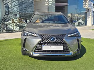 Lexus UX 2026 300h  AWD RAPTURE S/R-thumb-8
