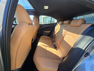 Lexus UX 2026 300h  AWD RAPTURE S/R-thumb-15