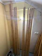 ΚΑΛΑΜΙΑ ΜΠΑΜΠΟΥ-thumb-2