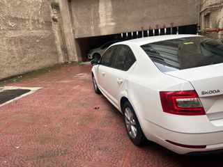 Skoda Octavia 2019-thumb-1