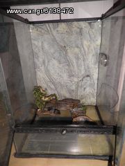 2 ενυδρεία (terrarium) ερπετών μικρό και μεγάλο