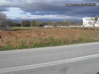 ΠΩΛΕΊΤΑΙ ΟΙΚΟΠΕΔΟ 1400 Τ.Μ. ΕΠΙ ΤΗΣ ΛΕΩΦΟΡΟΥ ΛΑΥΡΙΟΥ-ΣΟΥΝΙΟΥ,ΚΟΡΩΠΙ ΑΤΤΙΚΗΣ ΠΑΝΩ ΣΤΟ ΔΡΟΜΟ... 