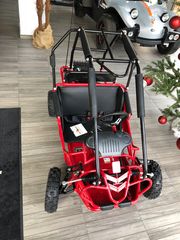 Polaris 2022 Hammerhead Offroad/Polaris-thumb-29