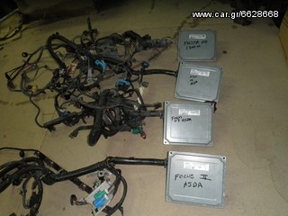 FORD FOCUS 2006 HXDA          DH-thumb-4