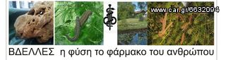 Ιατρικές Βδέλλες-thumb-16