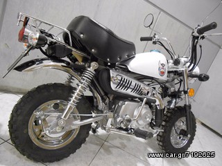 Nomik 2022 monkey  50/125-thumb-12