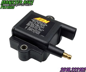 AEM IGNITION COIL