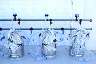Κτηνοτροφικά 2026 MILKER-6-10 ΑΙΓΟΠΡΟΒΑΤΩΝ-thumb-8